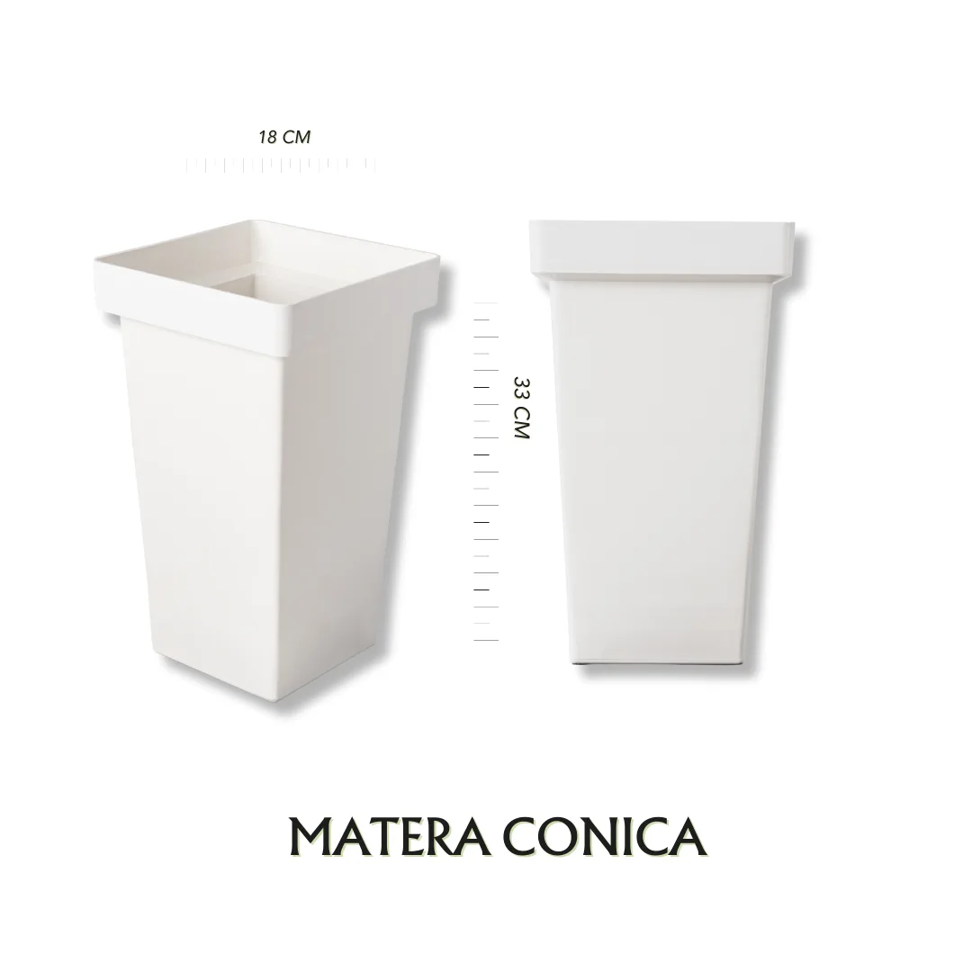 Conica Blanca