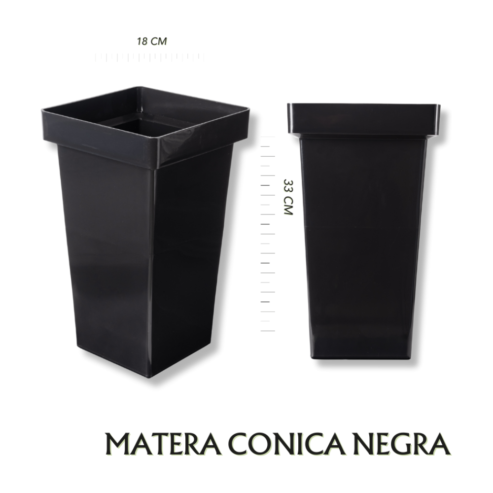 Conica Negra
