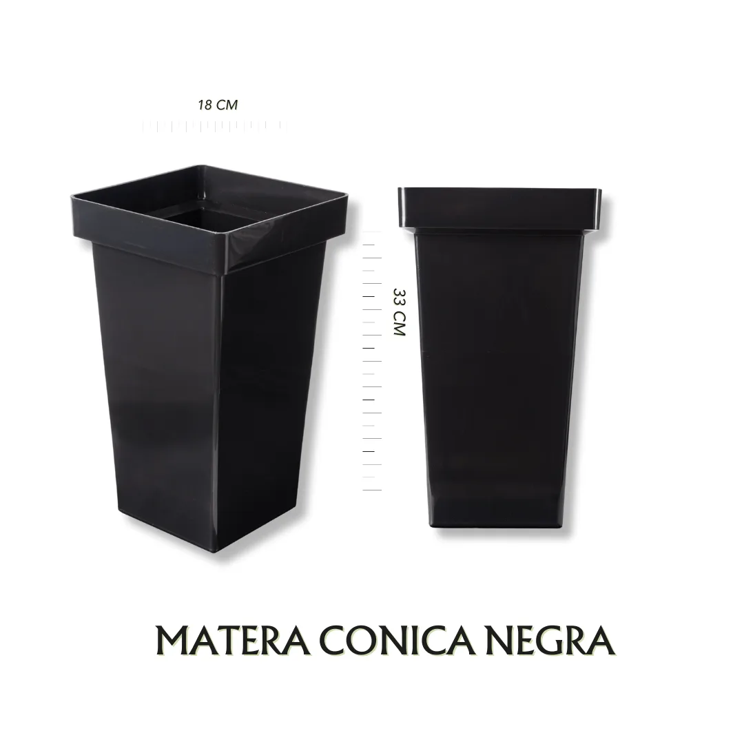 Conica Negra
