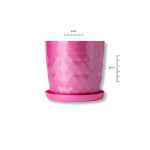 Rombo Fucsia