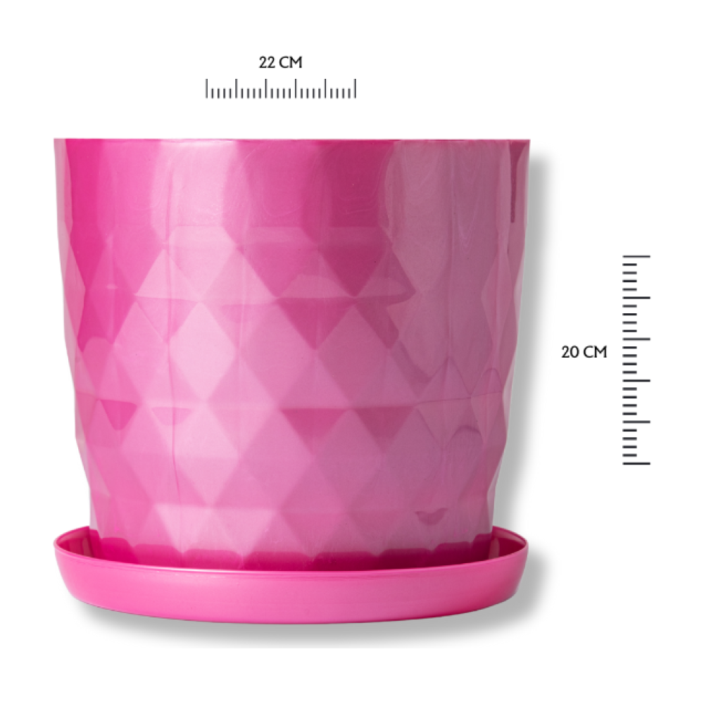 Rombo Fucsia