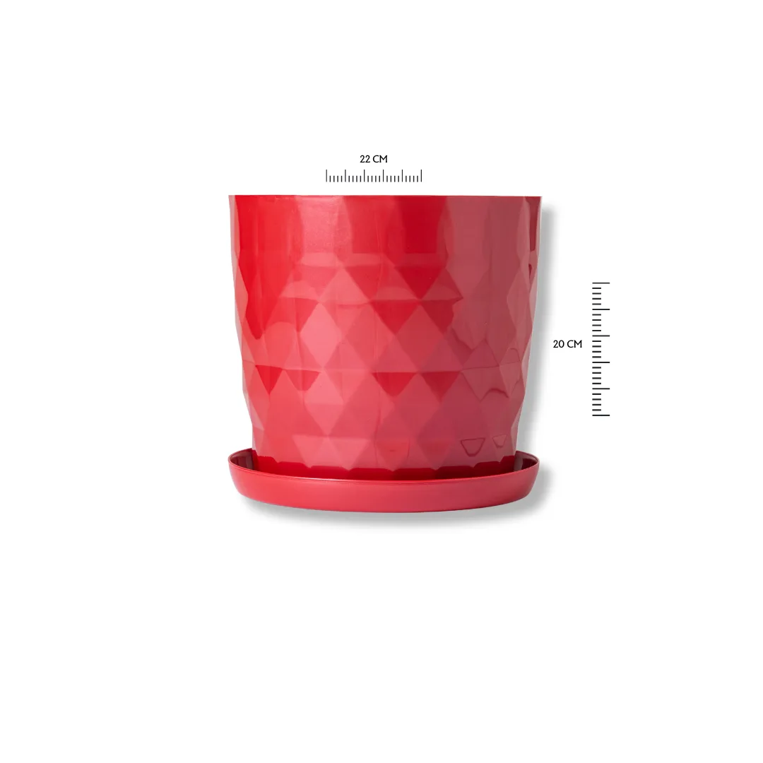 Rombo Rojo