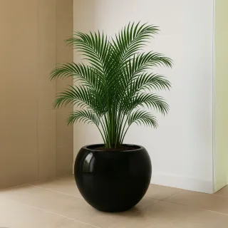 Esfera